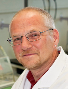 Molecular and cellular mechanisms